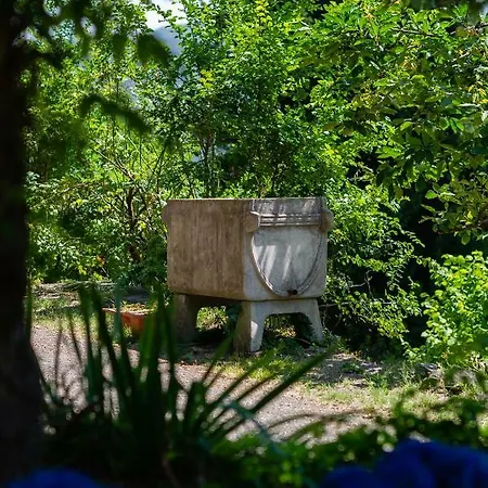 Villa Le Rose: Un'intera Dimora Di Lusso Per Te